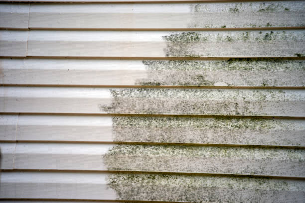 Professional Siding Installation & Repair in Pandora, OH